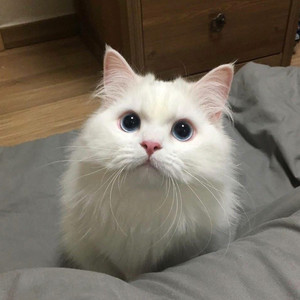 欧美黑人吊丝性爱啪啪啪两根
